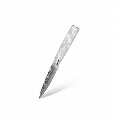 Set of 5 Japanese knives - Chef Tanaka